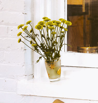 Architect Rick Harlan Schneider, owner of Inscape Studio, and his wife, Julie, did a green renovation on their Washington, D.C., townhome—built in 1929—that included enclosing the back porch and making it into a sunroom. They used the U.S. Green Building Council’s national standards for energy use, materials, and water as guidelines.